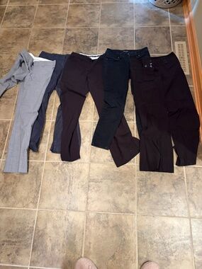 Assorted Women's Dress Pants and Jeans - Mixed Neutrals